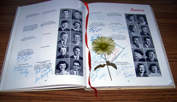 Creation of Pressed Memories: Step 5